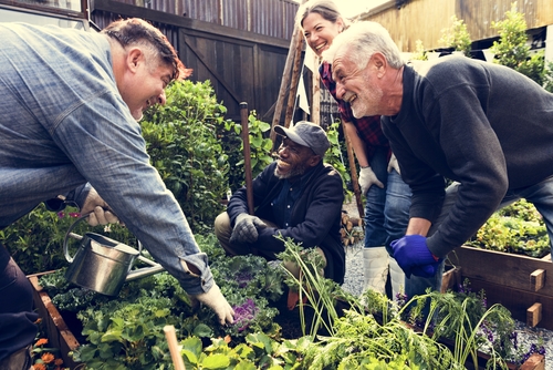 Group of people gardening together - patient centred care at Accelerate